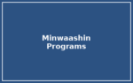 Minwaashin Lodge – Indigenous Women’s Support