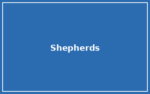 Shepherds of Good Hope